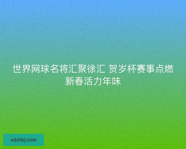世界网球名将汇聚徐汇 贺岁杯赛事点燃新春活力年味 世界网球名将汇聚徐汇 贺岁杯赛事点燃新春活力年味